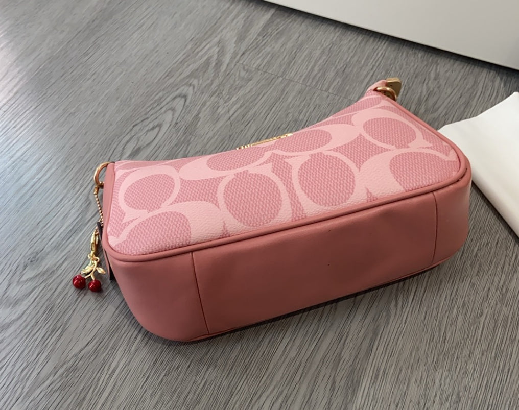 NEW COACH Teri Shoulder Bag in Signature Canvas/Gold/Po