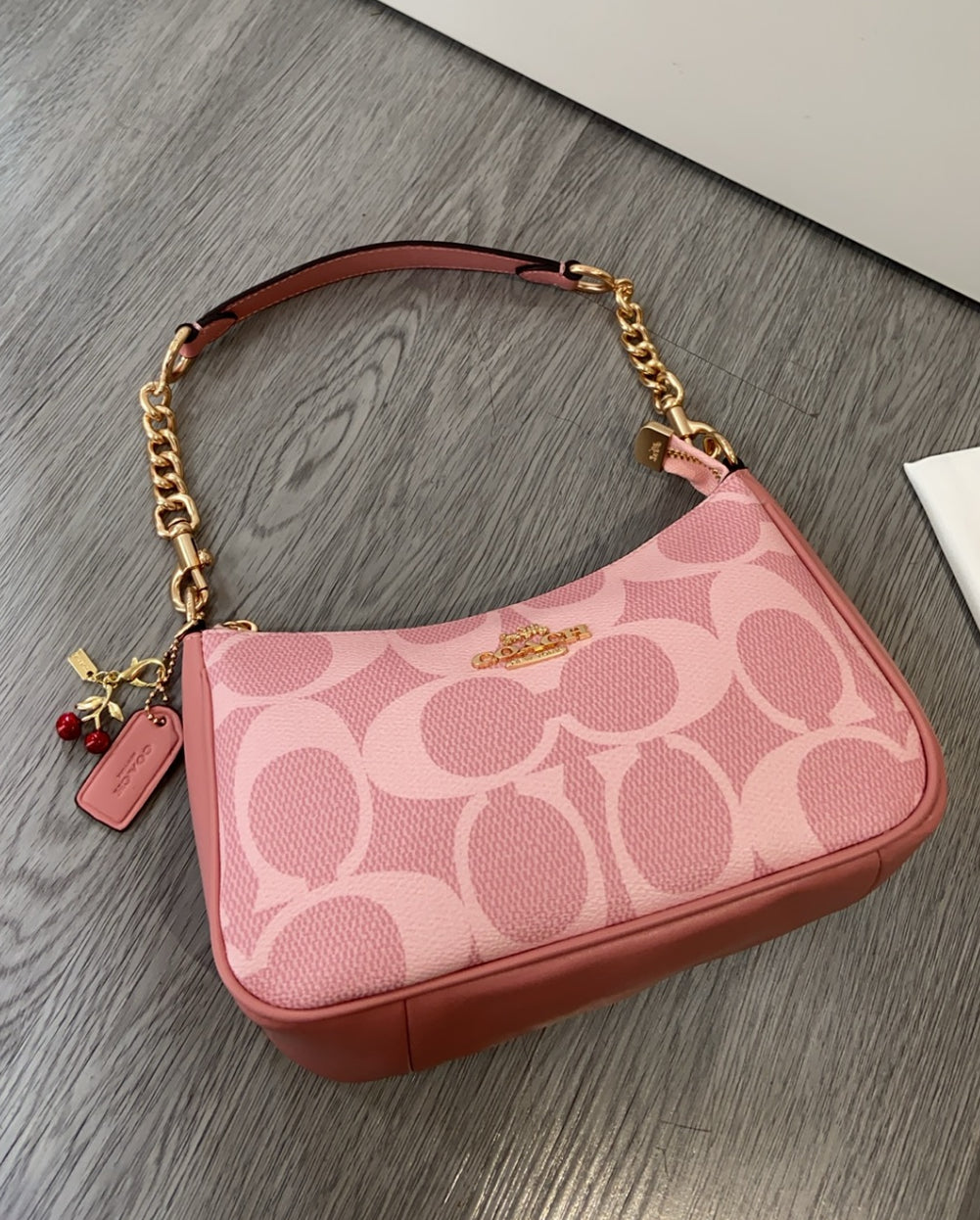 NEW COACH Teri Shoulder Bag in Signature Canvas/Gold/Po